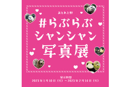 上野動物園のジャイアントパンダ「＃らぶらぶシャンシャン写真展」開催決定！ 画像