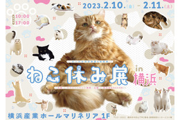 猫の祭典「ねこ休み展」が2年ぶりに横浜上陸！ 画像