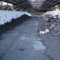 自転車置き場は、一時期完全に泥濘に埋もれていた